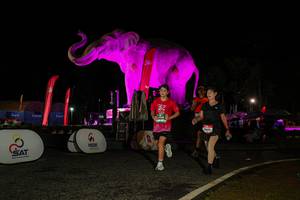 BIB: 
                            <button type="button" onclick="openModal(26534374)" class="btn btn-primary btn-sm float-right btn-popup" data-toggle="modal" data-target=".modal-high-quality">
                        <i class="fas fa-shopping-cart"></i> Add to Cart
                    </button>
                                            <button type="button" onclick="isThisMe(26534374, true)" class="btn btn-success btn-sm float-right btn-popup btn-isme hidden" data-toggle="tooltip" data-placement="bottom" title="นี่คือรูปของคุณใช่ไหม คลิกที่นี่เพื่อเอาเข้าอัลบั้ม">
                        <i class="fas fa-plus"></i> Add to album
                    </button>
                    <button type="button" onclick="isThisMe(26534374, false)" class="btn btn-warning btn-sm float-right btn-popup btn-isnotme hidden">
                        <i class="fas fa-ban"></i> Remove from album
                    </button>